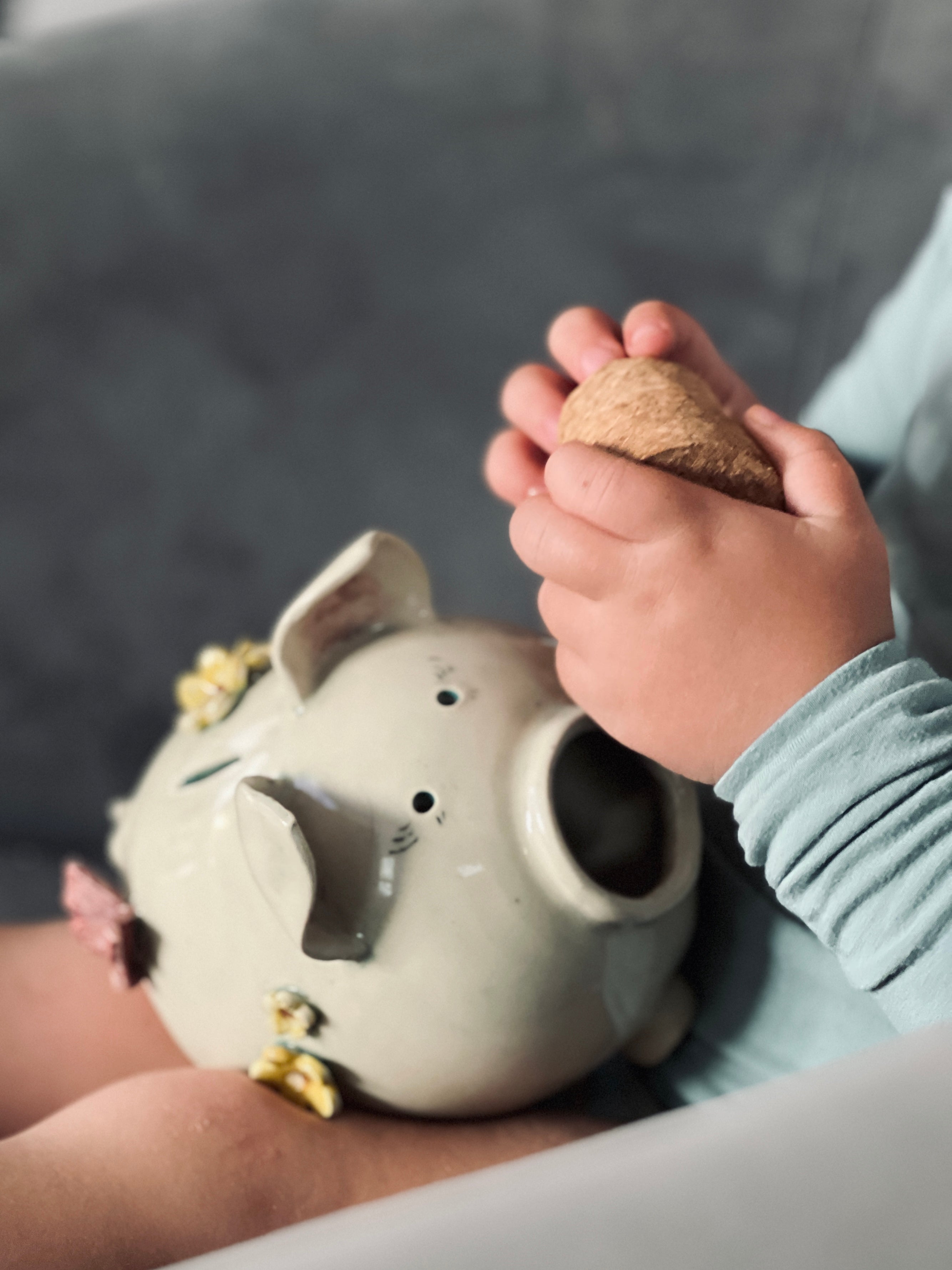 Piggy Bank - Customizable